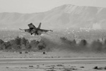 LV6_3231_seps.jpg