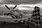 44-74446_3455s.jpg