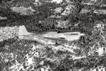 BJ7_0068seps.jpg