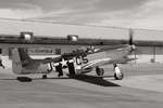 CF7_0626s.jpg