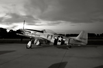 GML99_003seps.jpg