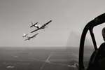 MF8_1872seps.jpg
