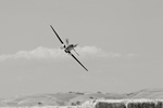 8AA_2762s.jpg