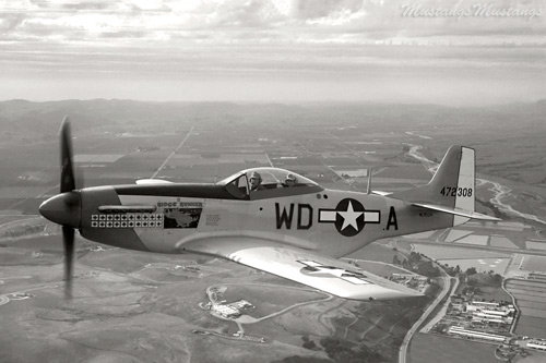 P-51 Mustang at Black & White