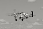 OSH-05_3673s.jpg