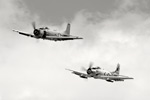 SD6_9752s.jpg