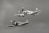 SD6_0124t.jpg