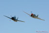 WW5_2892t.jpg