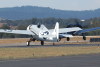 uwf.cats.4296t.jpg