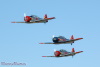 Reno5_2233t.jpg