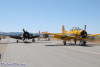 w.t28.cf1.1283t.jpg