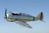 CN6_0302wt.jpg