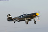 CH6_1284t.jpg