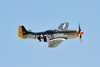 08CHN_5822t.jpg