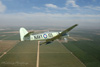 MF8_1675dt.jpg