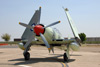 MF8_1793dt.jpg