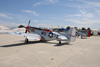 MF8_1467t.jpg