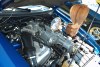 03_SVTcobra_281_w7_1t.jpg
