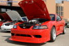 mm05_0239t.jpg