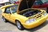 mm05_0283t.jpg