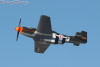 31-5t.jpg