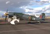 13-8t.jpg