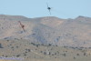 RN5_5704t.jpg
