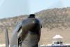 RN5_5751t.jpg