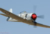 RN5_5425t.jpg