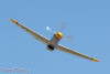 RN5_5577t.jpg