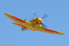 RN5_5672t.jpg