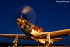 RN5_5925t.jpg