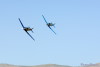RN5_6176t.jpg