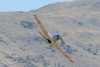 RN5_5622t.jpg