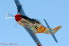 RN5_6490t.jpg