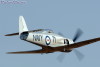 RN5_5432t.jpg