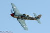 RN5_6328t.jpg