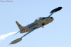 RN5_6578t.jpg