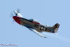 RN5_6253t.jpg