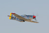 RN6_7289t.jpg