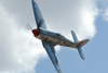 RN7_9569wt.jpg
