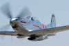 Reno05_5024ct.jpg
