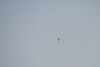 Reno_2014-20791t.jpg