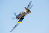 Reno_2014-53595t.jpg