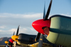 Reno_2014-62330t.jpg