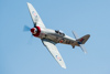 Reno_2014-53761t.jpg