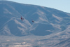 Reno_2015-155375t.jpg