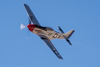 CurtisFowles-Reno2016-165320t.jpg