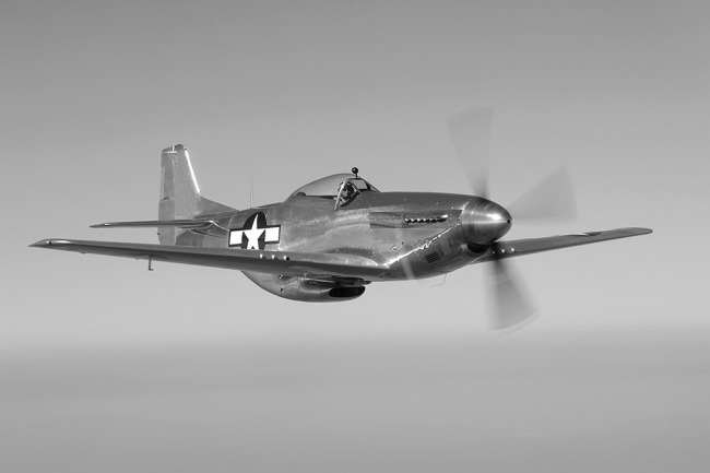 P-51 Survivor 44-12118 N60752