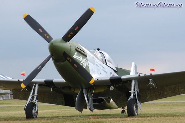 P-51 Survivor 44-63807 N20MS